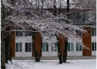 verschneiter Campus, verschneite Bäume, Blick auf C-Bau